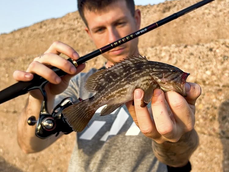 Photo Antoine Dubuc team daiwa France