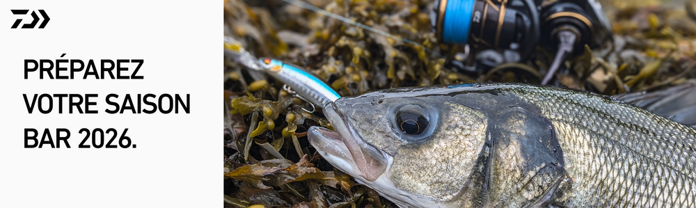 saison bar 2026 daiwa loup pêche